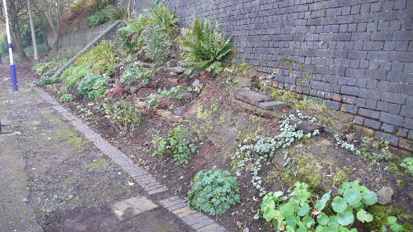 Station Garden 4 Nov 2007